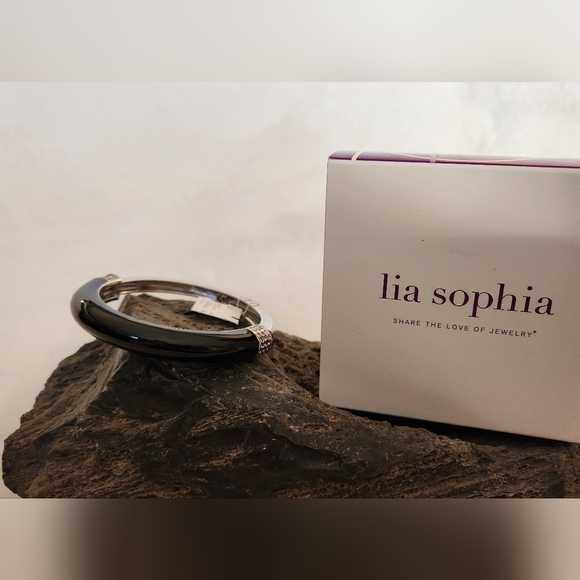 NWT Lia Sophia "Chromatic" Black Silver and Cut crystal Bracelet - Picture 2 of 3